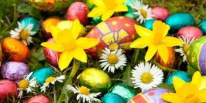 أجمل عبارات ورسائل شم النسيم 2026.. كلمات تهنئة مميزة للأهل والأصدقاء