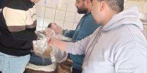 حملات مكثفة لتموين البحيرة تضبط «رنجة وفسيخ» مجهولي المصدر