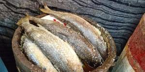 10 نصائح لتفادي أضرار الفسيخ في شم النسيم