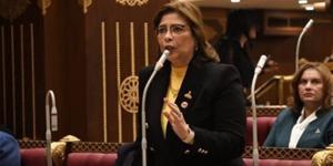 نائبة: توجيهات الرئيس بسرعة تقديم مشروع قانون الأسرة تؤكد تفاعله مع مشاكل الشعب