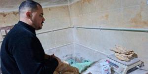 حملات تفتيش ميدانية على مخابز بسيون وتحرير 11 محضر تمويني