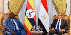 وزير الخارجية: نرفض الإجراءات الأحادية في حوض النيل الشرقي