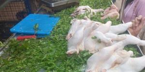 حملات تفتيشية على 49 منشأة غذائية وصناعية بالشرقية