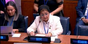 عبلة الألفي: انخفاض عدد المواليد السنوي لأول مرة إلى أقل من مليوني مولود في 2024