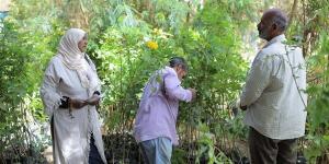 غرس 8 آلاف شجرة في قنا