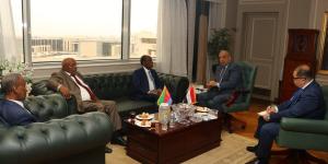 وزير الكهرباء يبحث مع وفد إريتري تعزيز التعاون في مجالات الطاقة المتجددة