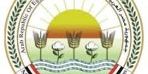 الزراعة تعزز برامج التحسين الوراثي للماشية في مارس.. تلقيح أكثر من 45 ألف رأس وتحقيق نتائج إيجابية