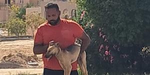 رئيس جهاز بدر يضع خطة متكاملة للحد من المخاطر الصحية ومنع انتشار الأمراض بين الكلاب