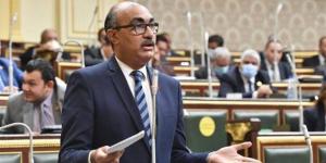 إيهاب منصور: قانون الإدارة المحلية يحتاج حوارًا مجتمعيًا شاملًا وتوافقًا دستوريًا قبل إقراره