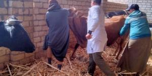 تنظيم ورشة عمل لتأهيل أطباء بيطريين لتحصين وتعقيم كلاب الشوارع