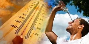 أطعمة تساعد على تقليل تأثير حرارة الصيف