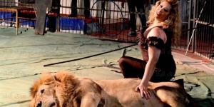 لوبا الحلو متهمة بالإصابة الخطأ في هجوم شبل على طفلة السيرك القومي