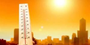 لتقليل الخسائر المحتملة.. نصائح مهمة للمزارعين بالتزامن مع الموجة الحارة