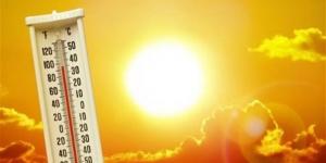 كيف تحمي نفسك من مخاطر الموجة الحارة؟ دليل شامل للتعامل مع ارتفاع الحرارة