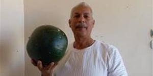 نقيب الفلاحين: يكشف أسباب ارتفاع اسعار البطيخ