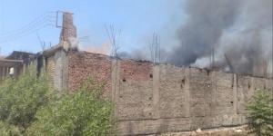 إصابة سيدة باختناق والدفع بـ13 سيارة إطفاء للسيطرة على حريق بمزرعة نخيل بالوادي الجديد