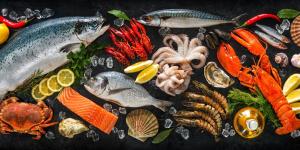 علماء صينيون يكتشفون فيروس جديد في المنتجات البحرية يسبب العمى