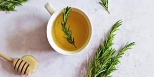 الروزماري ودوره في دعم صحة الدماغ وتحسين التركيز