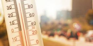 حالة الطقس اليوم في محافظة الدقهلية