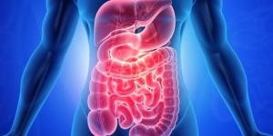 عدد مرات التبرز يكشف أسرارا عن صحة الأمعاء