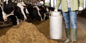 أسعار الجبن والألبان ومشتقاتها في محافظة القاهرة اليوم السبت 18 أبريل 2026