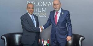 وزير الخارجية: "نقف بجانب الأشقاء في الأردن في هذا الظرف الدقيق"