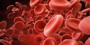 دراسة حديثة تربط نقص الحديد بزيادة خطر الخرف ومرض الزهايمر