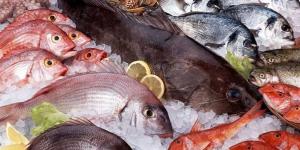 أسعار الأسماك والمأكولات البحرية في الدقهلية