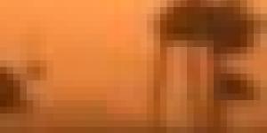 رياح قوية وزوابع رملية عبر هذه الولايات