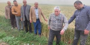 الخير يبدأ بالشرقية.. انطلاق موسم توريد القمح واستعدادات مكثفة بالصوامع