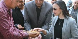 محافظ البحيرة تتفقد أعمال توريد القمح بصومعة زاوية غزال