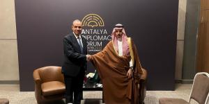 وزير الخارجية: المساس بسيادة السعودية والدول الخليجية مساساً مباشراً بالأمن القومي المصري والعربي