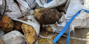 ضبط ١١٨ طن مخلفات غذائية فاسدة و٤٨٠ كجم مصنعات دواجن مجهولة المصدر بالشرقية