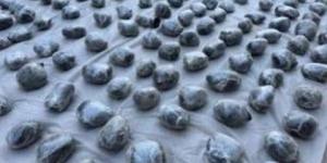 بـ 175 مليون جنيه.. ضبط 2.5 طن مواد مخدرة متنوعة بالسويس