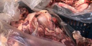 إحباط محاولة نقل لحوم فاسدة بالمنوفية