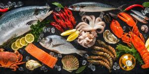 أسعار الأسماك اليوم في الدقهلية.. اعرف التفاصيل