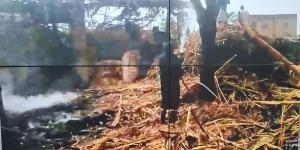 حريق يلتهم مساحة 1.5 فدان من زراعات محصول قصب السكر بقنا