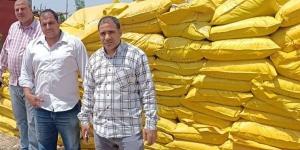 حملات تموينية مكثفة بالبحيرة تضبط سولار مهرب ومحسنات زراعية مجهولة المصدر