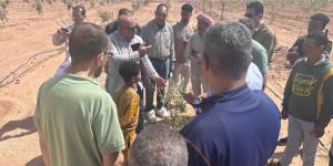 الزراعة تعلن حزمة دعم عاجلة لمتضرري السيول في سيناء واستصلاح أراضٍ على نفقة الوزارة