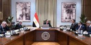 رئيس الوزراء: إنشاء مراكز لوجيستية للحبوب والزيوت في مصر