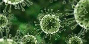 اختراق علمي جديد قد يوقف فيروسا يصيب 95% من البشر
