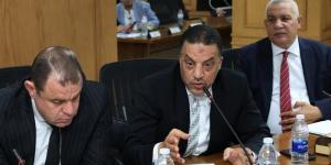 نائب يحصل على ترخيص 30 ميكروباصات لحل أزمة مواصلات الصف بالجيزة