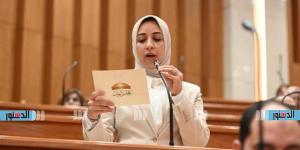 برلمانية تبحث إجراءات التسجيل بالشهر العقاري مع محافظ مطروح