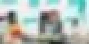 وفد تشادي يبحث فرص تصدّير المُنتجات الصيدلانية لصيدال إلى السوق التشادية