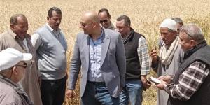وكيل زراعة الغربية يتفقد زراعات القمح بمركز زفتى استعداداً لموسم الحصاد