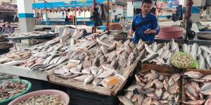 البلطي بين 85 و100 جنيه.. هدوء نسبي يسيطر على سوق الأسماك