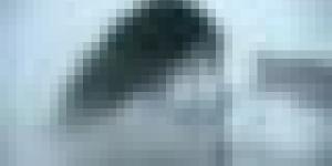 رياح قوية وأمطار رعدية على هذه الولايات