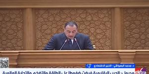 محمد البهواشي: مصر سبّاقة في اتخاذ إجراءات احترازية لمواجهة تداعيات الحرب الإيرانية