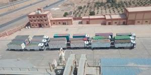 شون وصوامع المنيا تستقبل 19 ألف طن من القمح بالمنيا