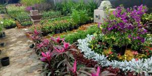 معرض زهور الربيع 2026.. المواعيد وأسعار التذاكر وطريقة الوصول